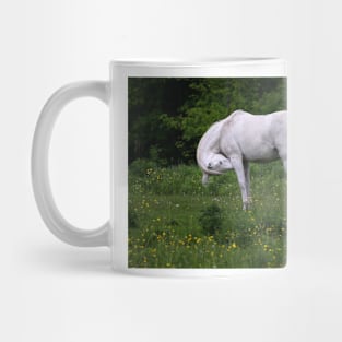 Gesundheit!! Horse Mug